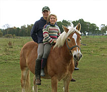 Reit- & Ferienhof Laubach – Bild 3