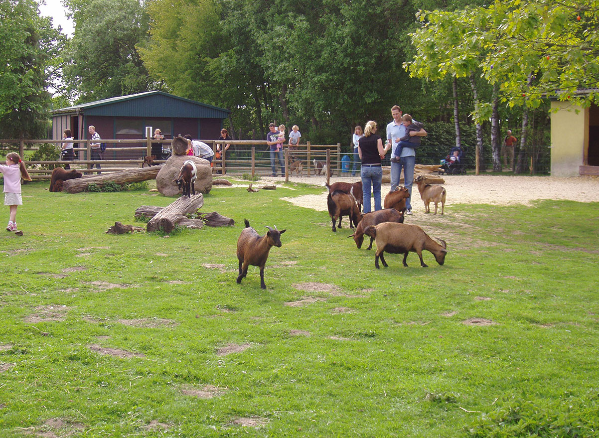 Tiergarten und Streichelzoo – Bild 2