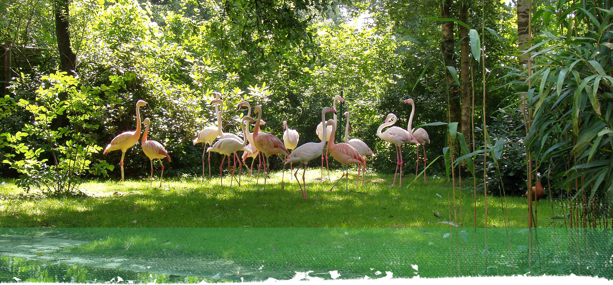 Tiergarten und Streichelzoo – Bild 3