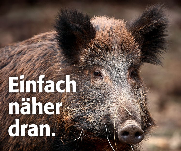 Hochwildpark Rheinland GmbH – Bild 3