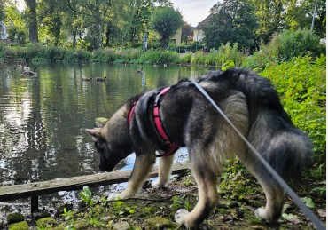 Bultkamp-Park – Bild 5