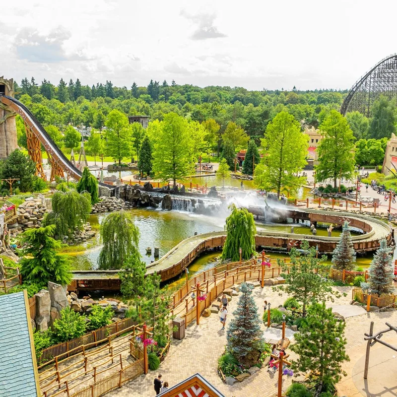 Wunderwald – Bild 1