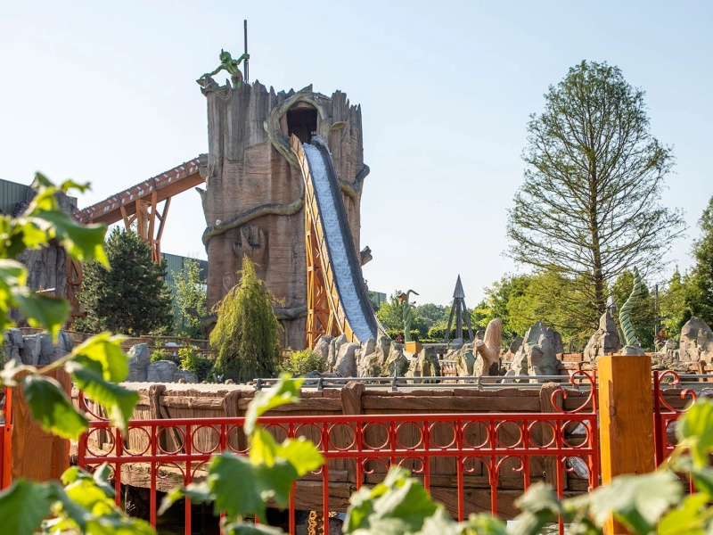 Wunderwald – Bild 2