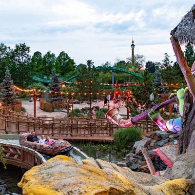 Wunderwald – Bild 3