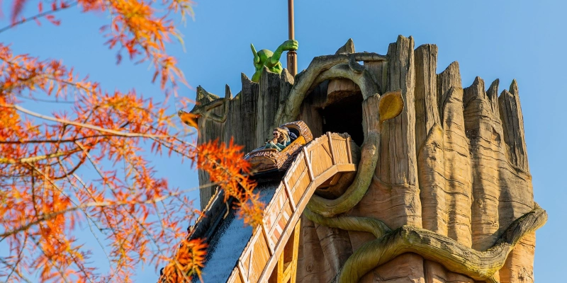 Wunderwald – Bild 4