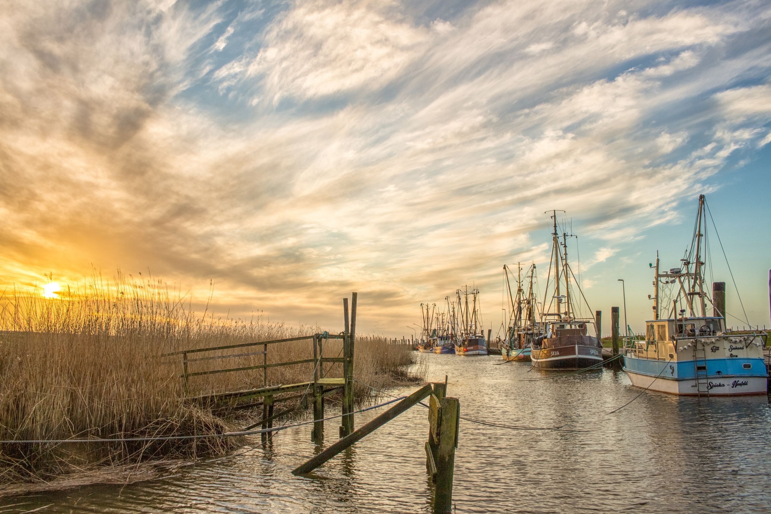 Tourist-Information Dorum-Neufeld | Kurverwaltung Wurster Nordseeküste – Bild 6