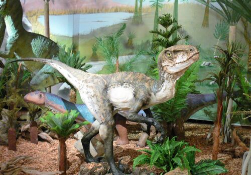 Emsland Archäologie Museum – Bild 3