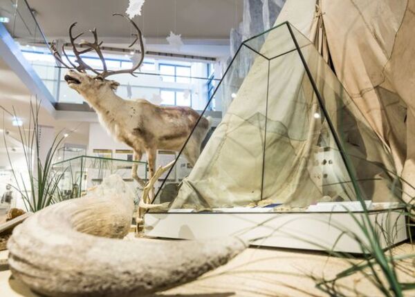 Emsland Archäologie Museum – Bild 6