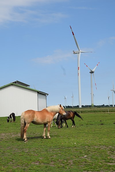 Mehlert Brunsbüttel Verwaltungs GmbH – Bild 2