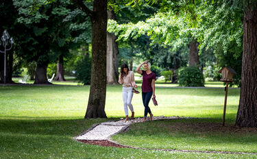 Ortenaupark – Bild 3