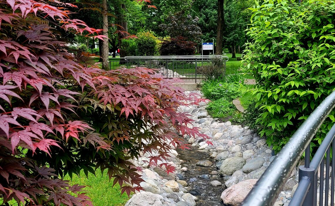 Ortenaupark – Bild 6