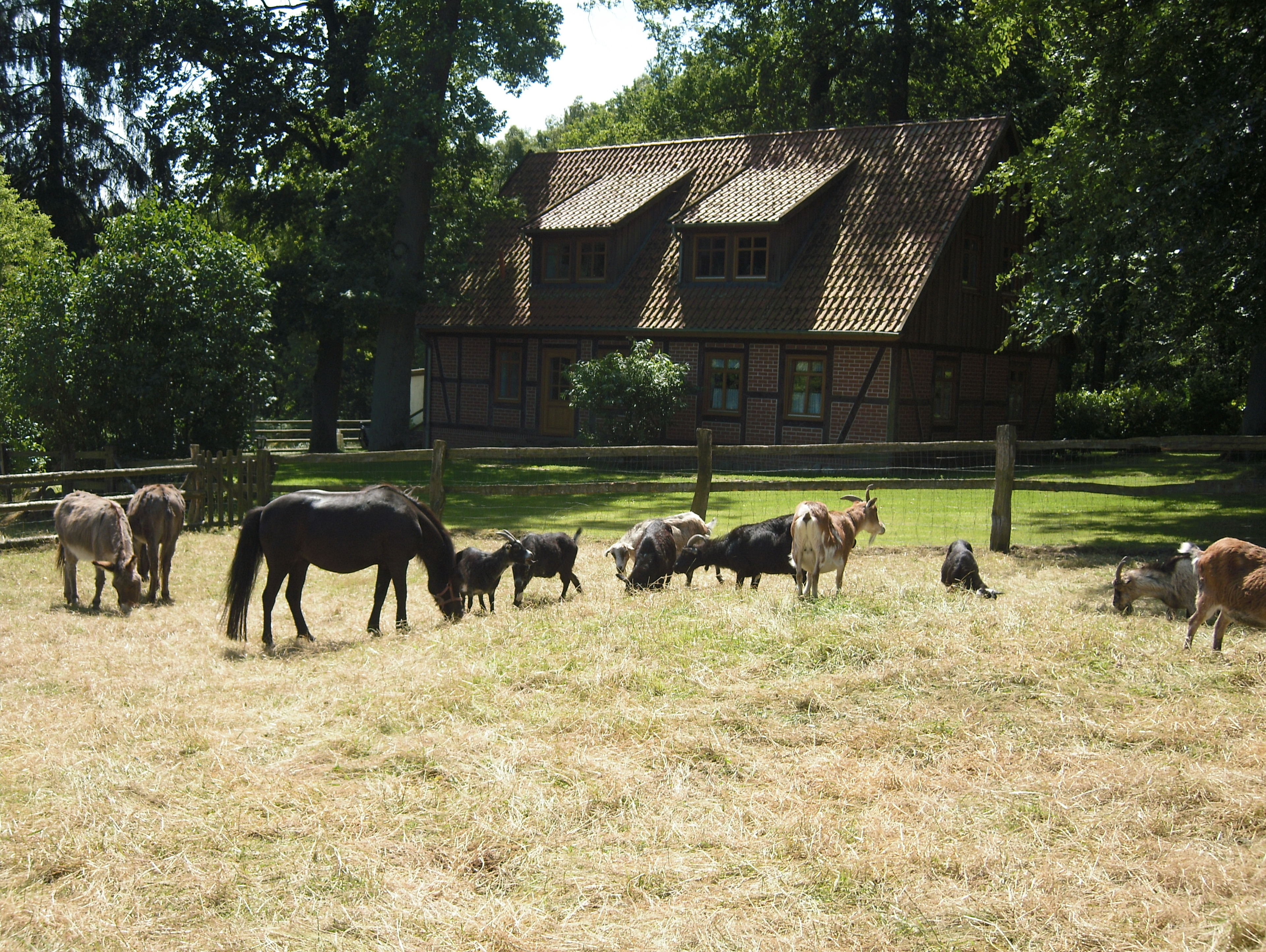 Beitjers Hof – Bild 2