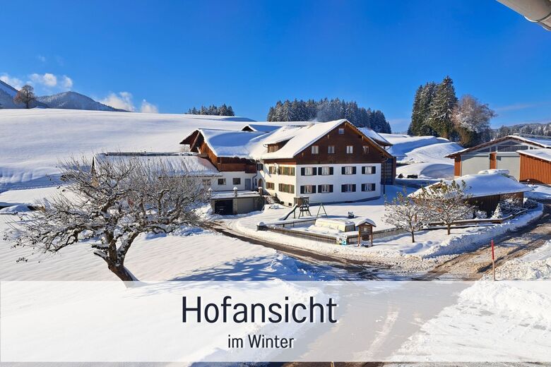 Schwäbeleholz / Sonthofen – Bild 4