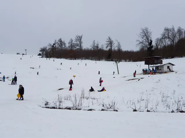 Schwäbeleholz / Sonthofen – Bild 6