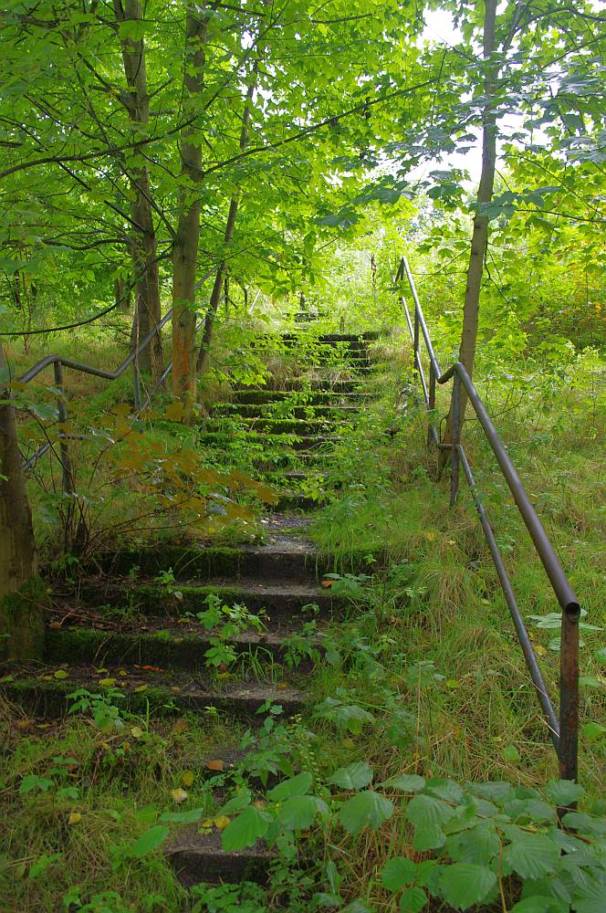 Parkplatz am Stadtwald Werl – Bild 4