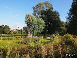 playground Bertrand Park – Bild 5