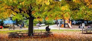 Place de Jeux du Parc Gourgas – Bild 2