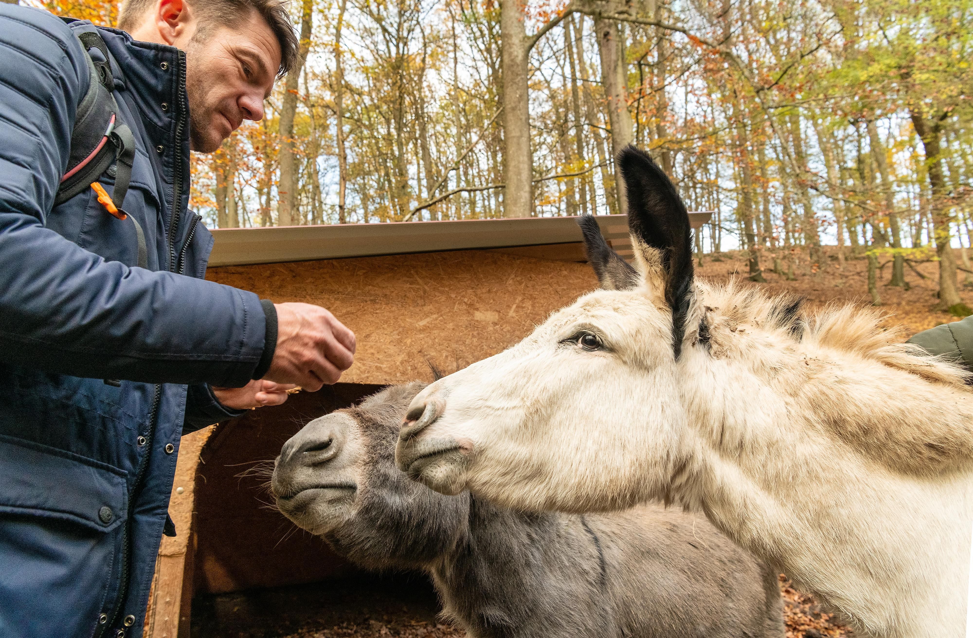 Wildpark Donsbach – Bild 5