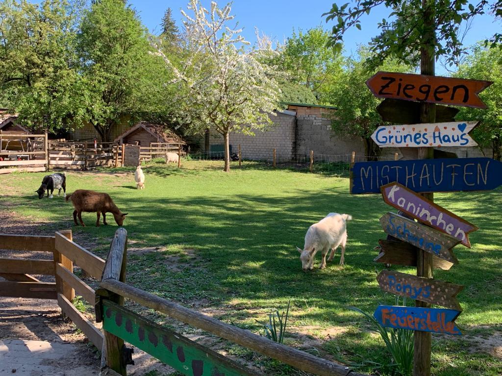 Jugendhof Heidelberg e. V. – Bild 2