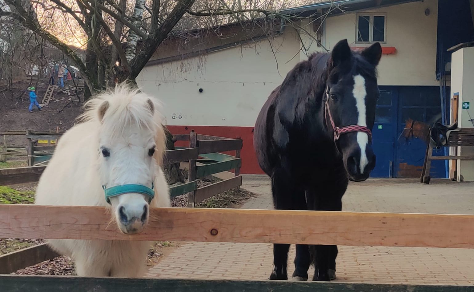 Jugendhof Heidelberg e. V. – Bild 5