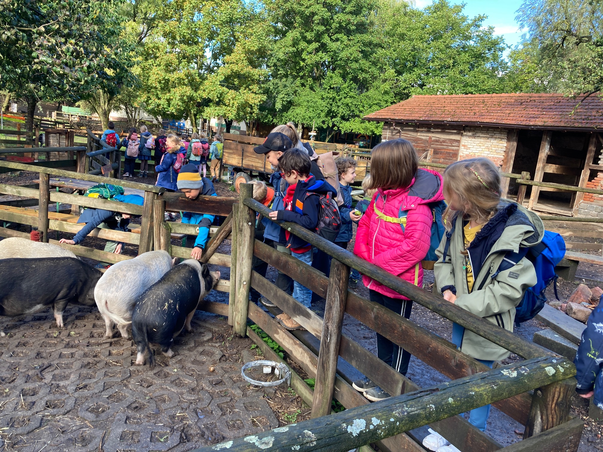 Jugendhof Heidelberg e. V. – Bild 6