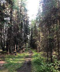 Fairways Park – Bild 3