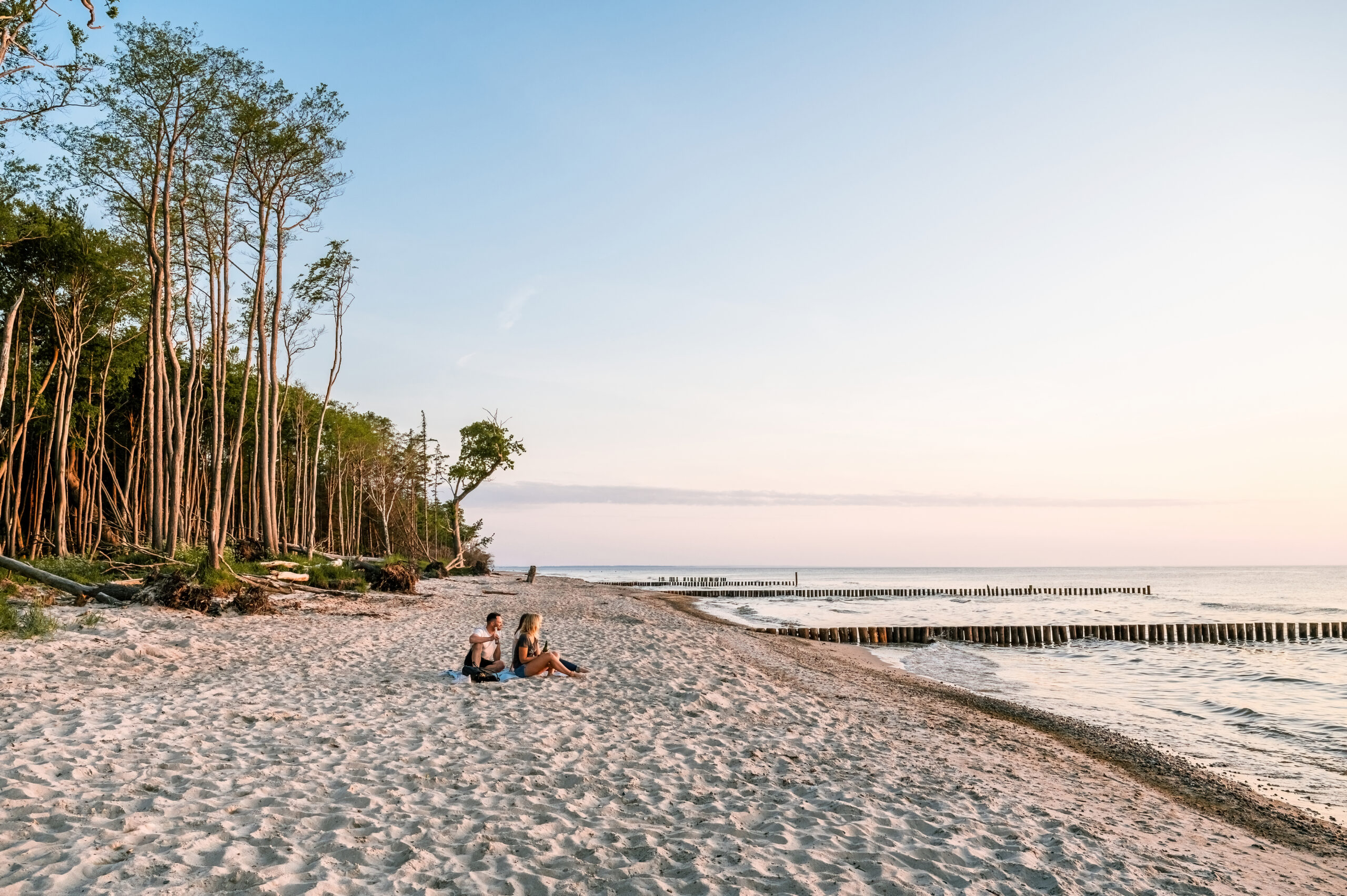 In Natura – Bild 2