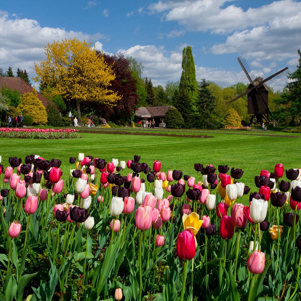 Weltvogelpark Walsrode – Bild 3
