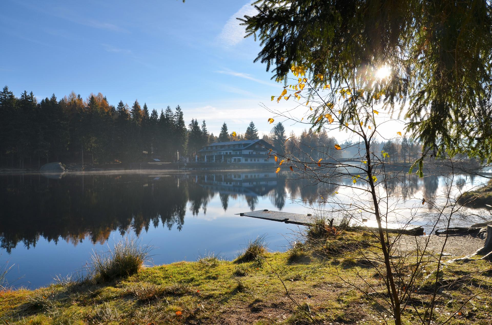 Waldspielplatz – Bild 1