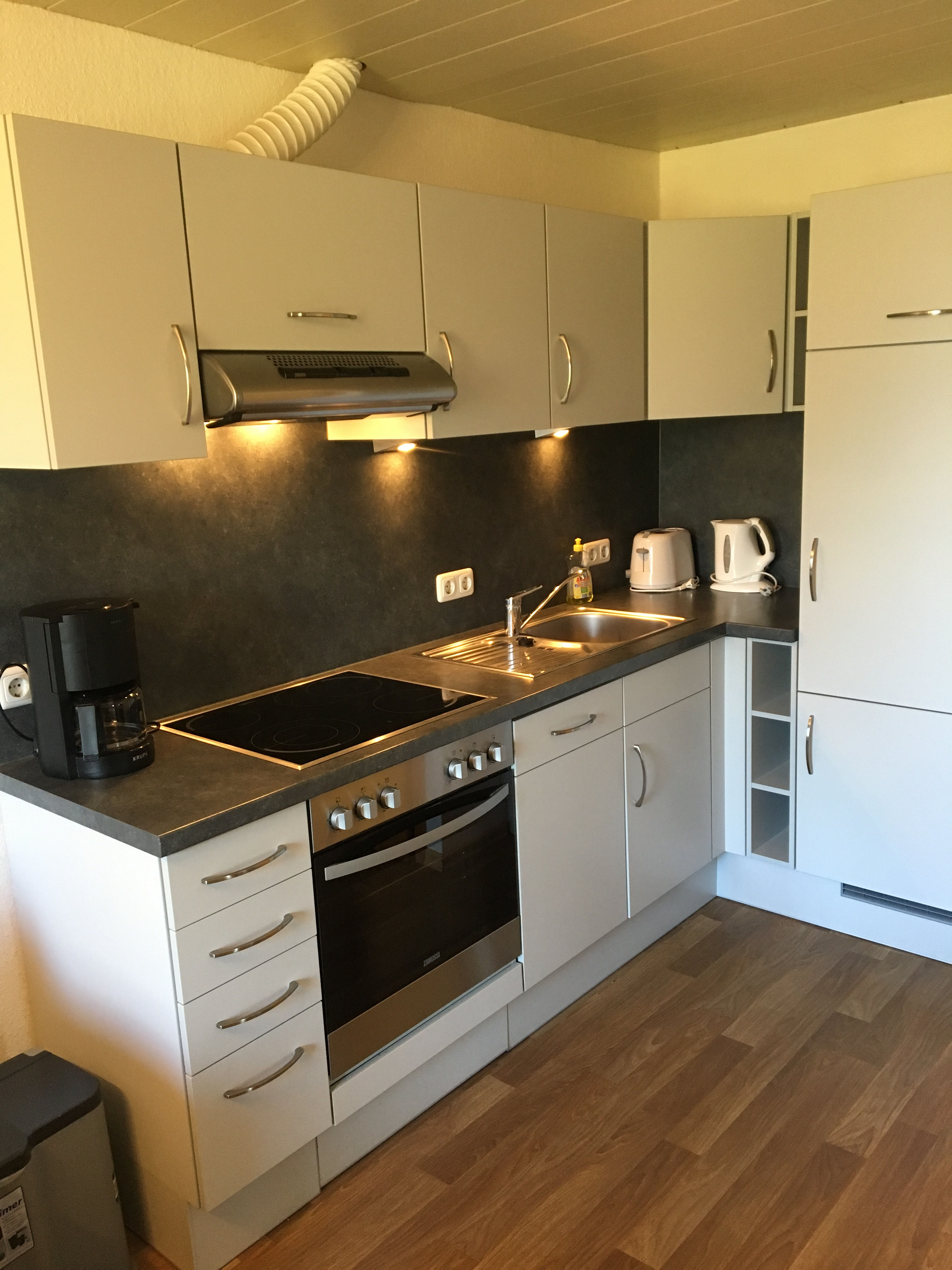 Elbdeich Ferienwohnung – Bild 1