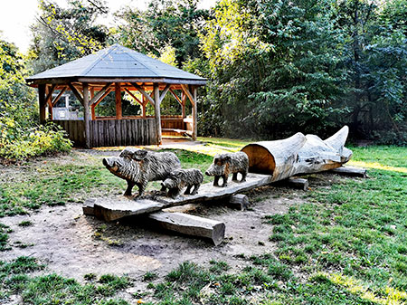 Wildgehege Heissiwald – Bild 4