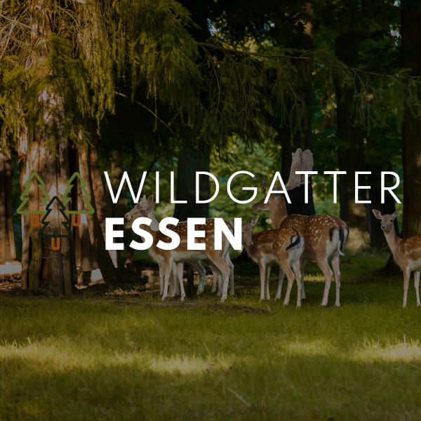 Wildgehege Heissiwald – Bild 5