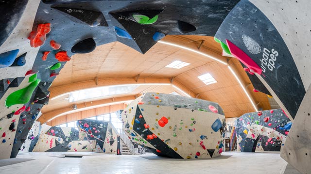 urban apes Hamburg West – Bild 3