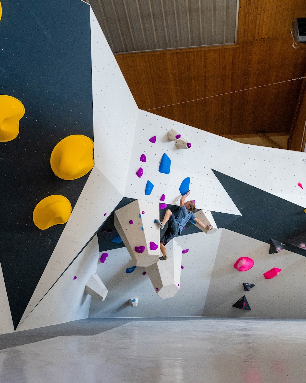 urban apes Hamburg West – Bild 5