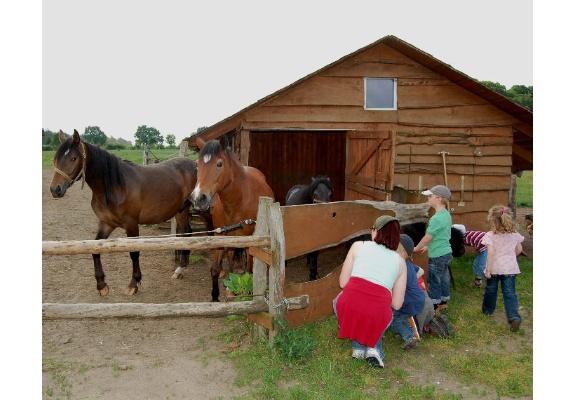 Norddeutscher Kinderbauernhof Zietlitz e.V. – Bild 4
