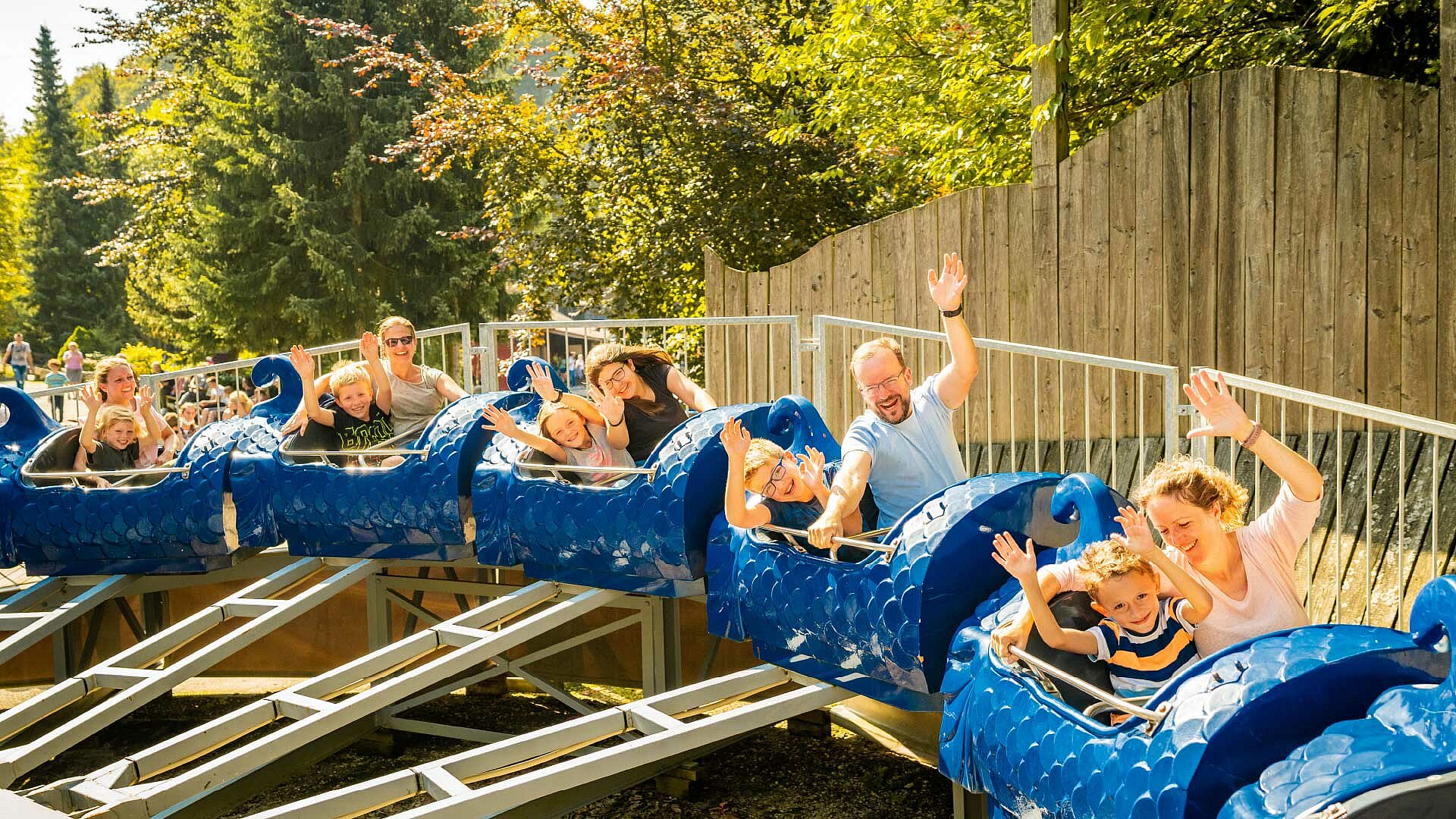 Blauer Drache – Bild 2