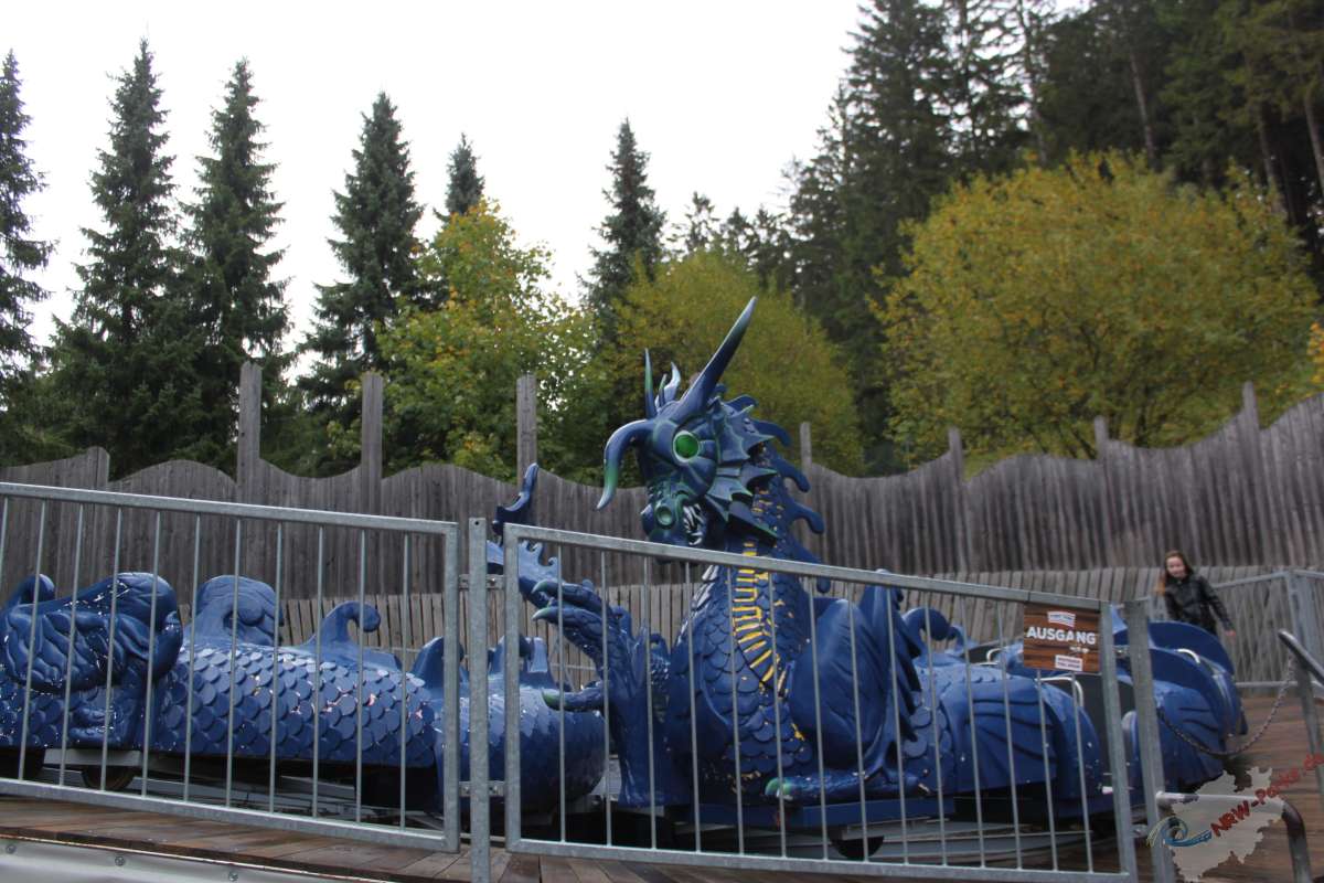 Blauer Drache – Bild 6