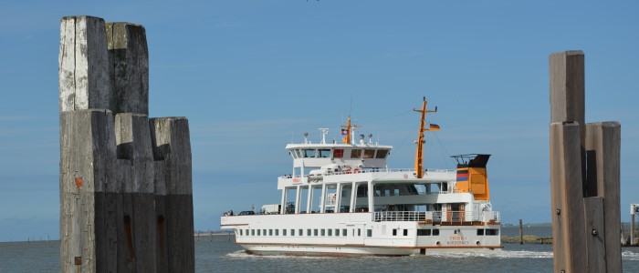 Neudeicher Hof – Bild 4