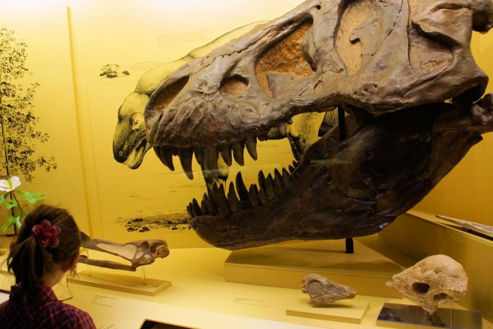 Museum Mensch und Natur – Bild 2