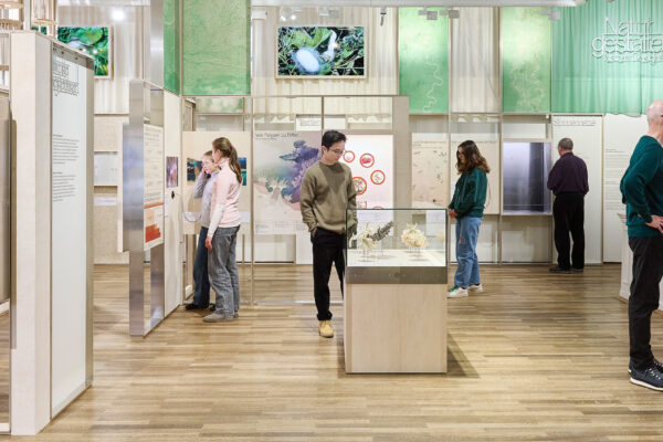 Museum Mensch und Natur – Bild 6