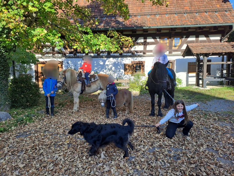 Vaihingerponyhof by Sabine Keller – Bild 5