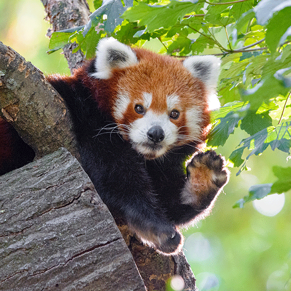 Zoo Duisburg – Bild 1