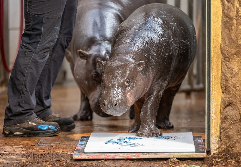 Zoo Duisburg – Bild 3