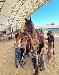 Coquitlam Equestrian Centre – Bild 2