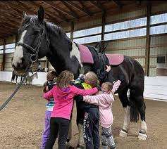 Coquitlam Equestrian Centre – Bild 5