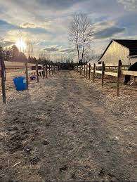 Coquitlam Equestrian Centre – Bild 6