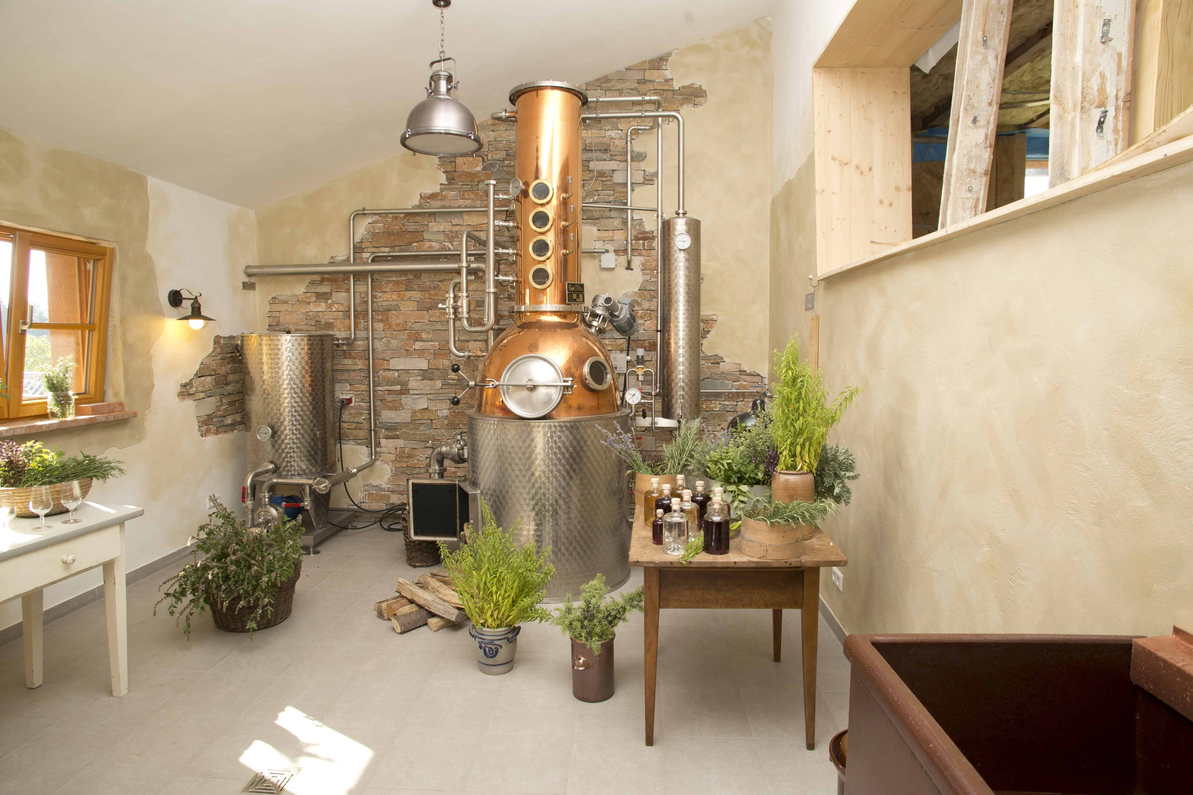 Domäne Homburger Hof – Bild 2