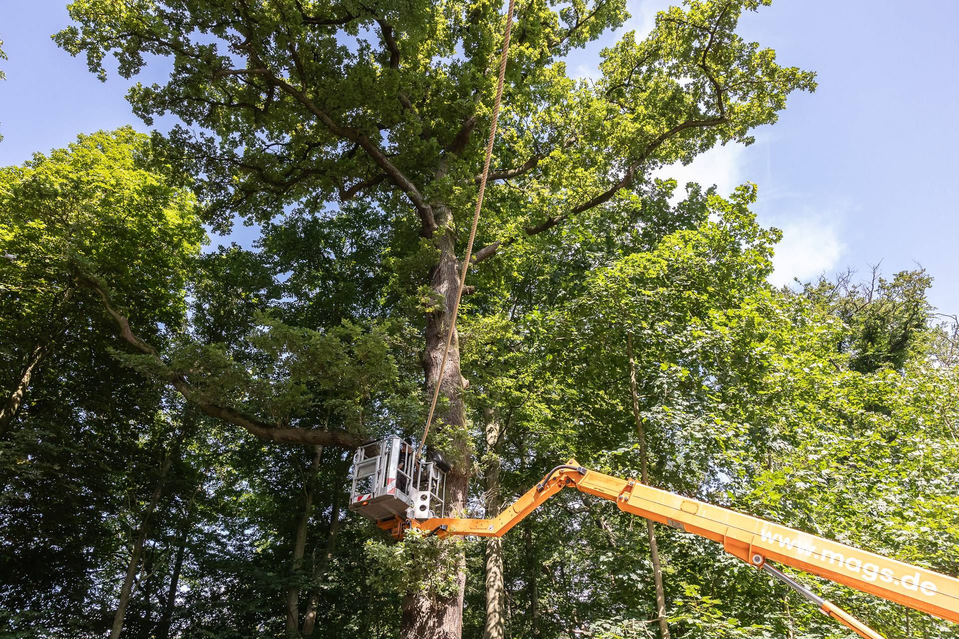 Spielplatz Peter-Krall-Straße – Bild 1