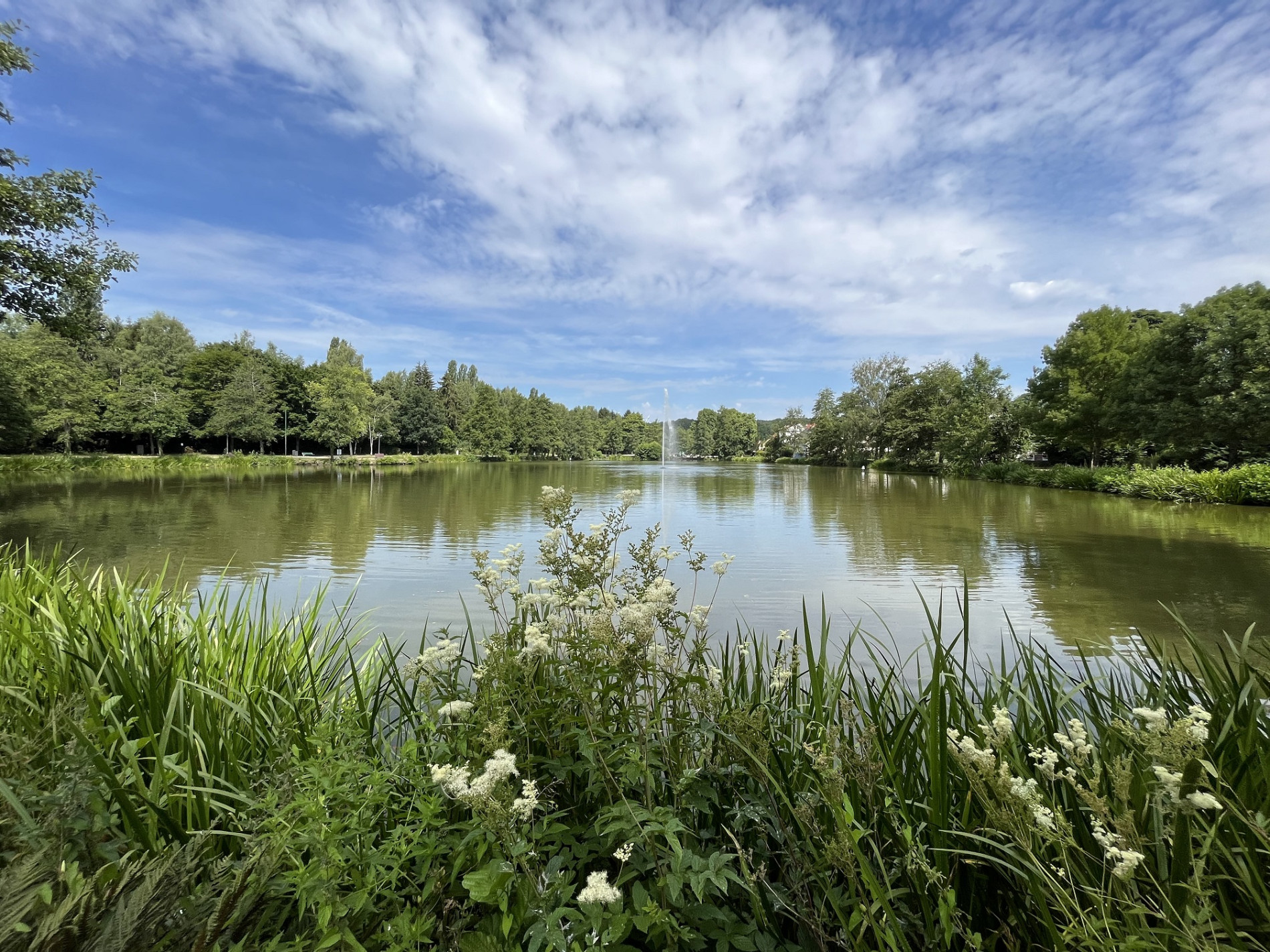 Jägersburger Weiher – Bild 5