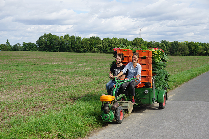 Lernbauernhof Schulte-Tigges / Solawi "Kümper Heide" – Bild 5